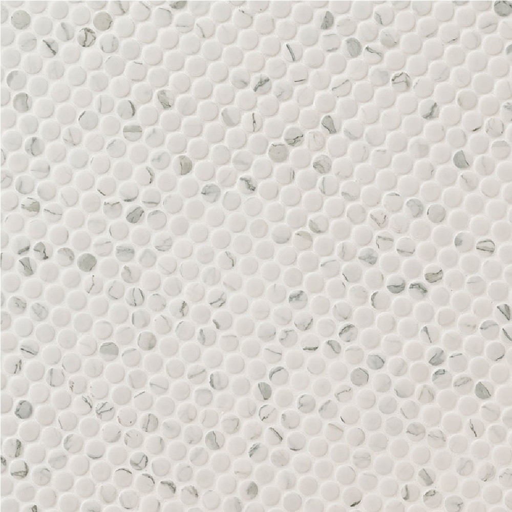 Carrara Penny Round Matte Porcelain Mosaic Tile-1