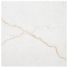 Brighton Gold 24X24 Polished Porcelain Floor and Wall Tile